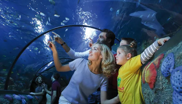 Tunnel Oceanico - Gardaland SEA LIFE Aquarium