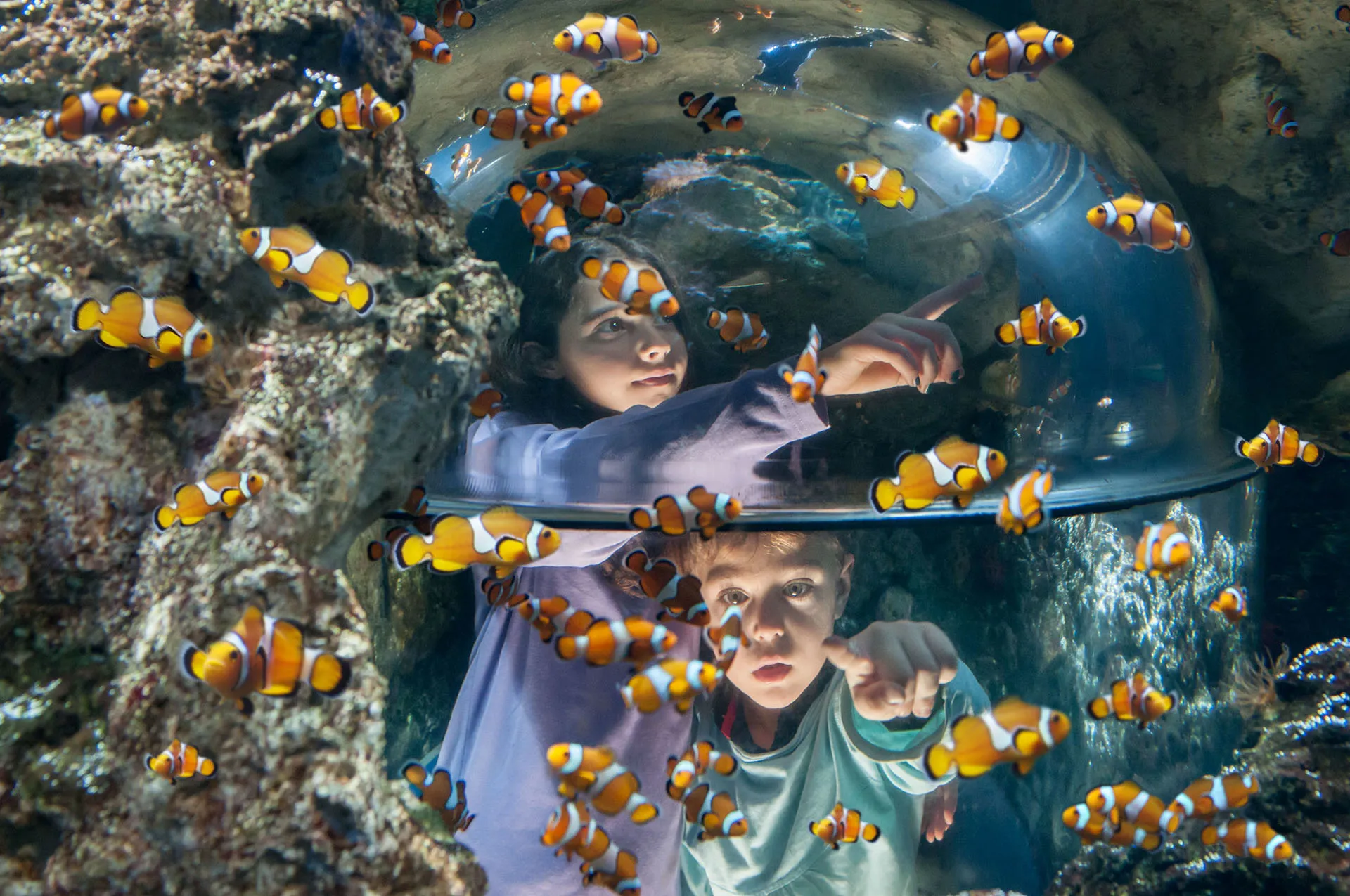 Gardaland SEA LIFE Aquarium - Ospiti
