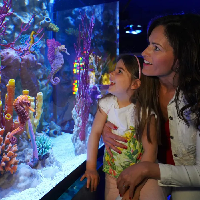 Gardaland SEA LIFE Aquarium - Mum with Kid