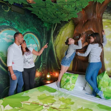 FORESTA INCANTATA - La camera dispone di un letto matrimoniale e due letti singoli in due aree separate. Bagno con Doccia – 2 TV LCD – WI-FI