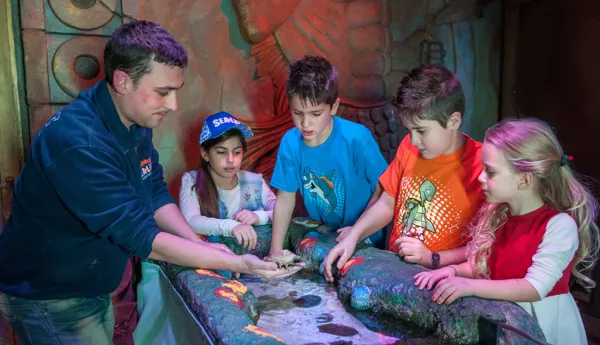 Gardaland SEA LIFE Aquarium - Tactile Tank