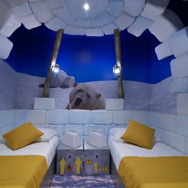 ARCTIC ADVENTURE - I due letti singoli in zona separata.