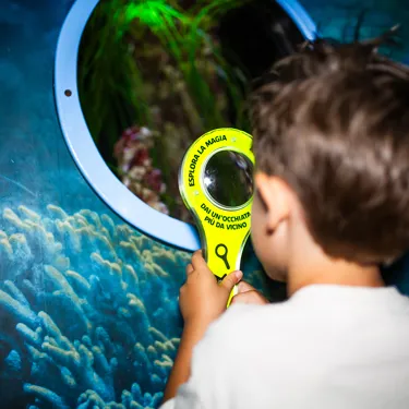 Sea Life Attivita Interattive 1